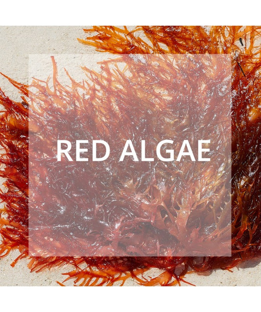 Maschera Gel idratante 50 ml